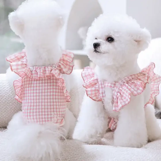 Small Dog Diapers: Female Pet Safety Pants